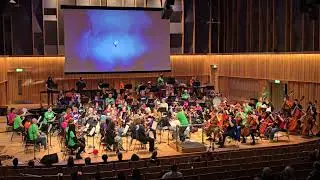 Live performance of &rsquo;Hornet&rsquo; from the Hollow Knight video game soundtrack