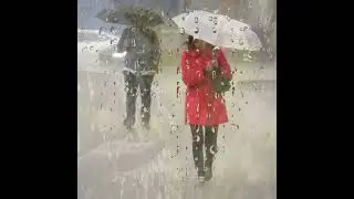 Ветер  и Дождь ☔️ ☔️ (Korg PA 900)italoDisco  )