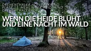 Wenn die Heide bl&uuml;ht und eine Nacht im Wald | Trekking Platz 11 | Drehenthalerhof | Trekking Pfalz