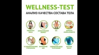 Wellness-test / Анализ состава тела Велнес-тест