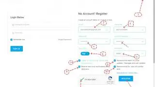 200 Collaborative Spotify Playlists 86K followers for $50 On Seoclerks