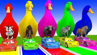 Long Slide Game With Cow Elephant Gorilla Hippopotamus Tiger 3d Animal Game Funny 3d Animals
