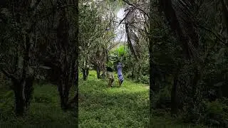 🌿🍃  #nature #provincelife