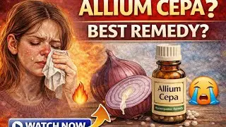 100 Days 100 Remedies | Day 11 |Allium Cepa Explained