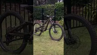 Cleanest stumpy oat #dontflop #edit #tuff #freeuppatty #subscribe  #specialized #mtb #bicycle