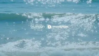 bluesign&reg;  x moodytiger
