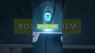 FAMOUS CRYPTO INVESTOR ROBERT GRYN: META HERO AND EVERDOME SCAMS? PUMP AND DUMP EXPOSED?