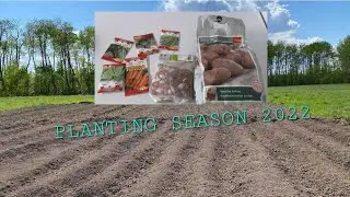 PLANTING SEASON PART 1 : POTATOES,ONIONS,CARROTS,SWEET POTATOES #gardening #gardeningtips  #garden