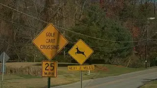 Deer safety