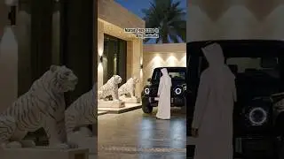 📞6378789680Abu Dhabi villa entrance Makrana Marble Tiger statues installed #tigerstatue #abudhabi
