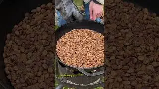 Как обжарить кофейные зерна самостоятельно #prepper #coffee #shtf