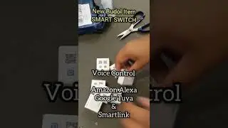 Automation Light Switch for Amazon Alexa, Google, Tuya, Smart Life