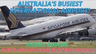 38 Minutes of Non Stop Sydney Airport Plane Spotting at Shep's Mound! [4K]