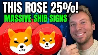 SHIBA INU - ЭТОТ ВИД ПОВЫШЕН НА 25%!!! ОГРОМНЫЕ ВЫВЕСКИ ДЛЯ SHIB!