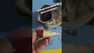 must've been effective if it caught a fish mount.  #fishing #bass #lure #tacklebox #taxidermy