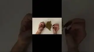 ASMR | FAST Lentils Hand Sounds 🫘1