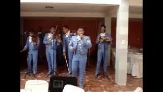 Mariachi juvenil Camperos - El Rey De La Huasteca