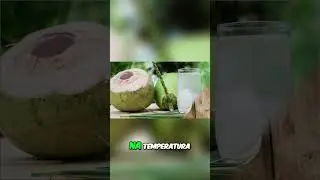 Como Armazenar &Aacute;gua de Coco