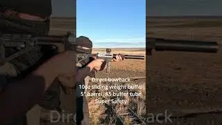 CMMG RDB and Direct Blowback comparison