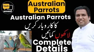 How to Start a Australian Parrots Business - Profit Margin in Australian Parrots - A Complete Guide!