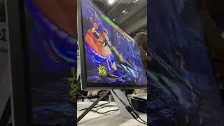 Evo 2025: Samurai Shodown-MasterBelmont vs. Cake_kee