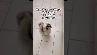 5 Days Homemade Food For Shih Tzu in 30 mins