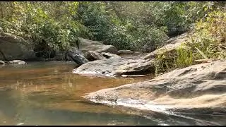 Natural beauty#rmb #rmbedutech#travelvlog #vlog #naturelovers #nature #