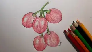 Grape Fruit Drawing Easy | How to Draw Grape | Fruit Drawing Tutorial