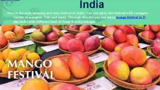 International Mango Festival in Delhi India