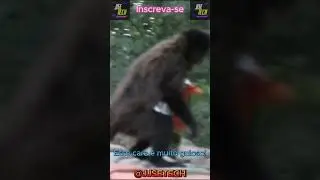 Cheetos  macaco meme brasil #memes #fyp #cheetos #viralvideo