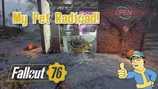 Fallout 76 My Pet Radtoad! Taming & Sending Animals Back To C.A.M.P