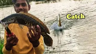 किस्मत से ही मिलते हैं ऐसे मौके 😱  Monster murral fish #snekehead #fish#wallagoattufishing