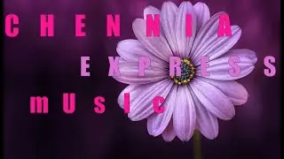 Emotional Background Music(Slowed and Reverbed)| Chennai Express