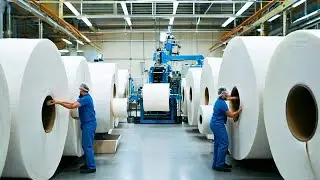 How Toilet Paper is Made - The Secret Factory Process