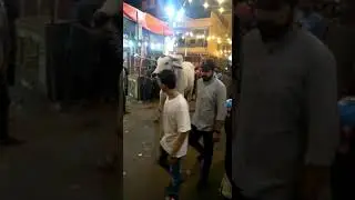 jdc mandi 2021 sibbi bail