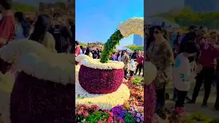 Biggest Tea Cup Cattle at Vasant Utsav Flower Show 2025 🌼 ☕| Unbelievable Art! #flowershow #shorts