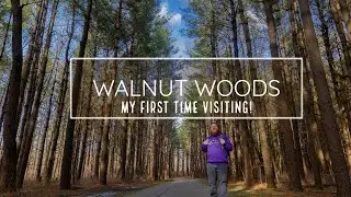 Walnut Woods Metro Park in Columbus || My first time visiting the tall pines area. I'll be back!