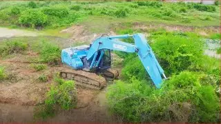 Clean the forest with water to transport soil and remove debris. Amazing excavator