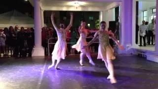 Grand Opening of the Miami Hispanic Cultural Arts Center