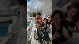 Penguin feeding | Manila Ocean Park