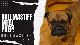 Bullmastiff Meal Prep RAW FEEDING 