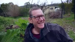vegetable garden bed preparation and planting broad beans. dirtfood episode 4