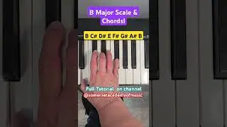 B Major Scale piano 🎹 #pianotutorialforbeginners  #easypiano