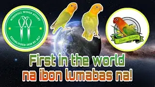 DNA services & aviary visit @ LEON AVIARY & WINDFALL WING AVIARY..