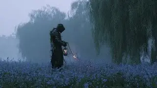 Lost Among Shadows