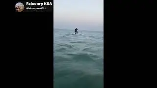 Kite surfing 