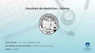 Polisomnografia y electroencefalograma