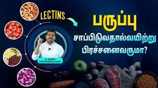 Lectins: பருப்பு சாப்பிடுவதால்வயிற்று பிரச்சனைவருமா? | What are Lectins? | Tamil | Dr. Bommu