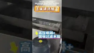 Automatic Sweet Corn Washing and Air Blow Dryer Machine