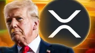 🚨 RIPPLE Y HEDERA SON LOS ELEGIDOS 😱 TRUMP TIENE EL PLAN PERFECTO ⚠️ #xrp #ripple #xrpnews